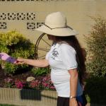 Picnic_DR_022 (July 06, 2019)